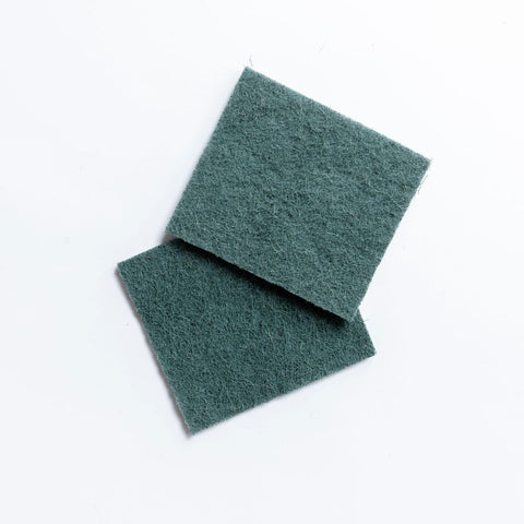 Eco Turtles 2PK Strong Scour Pads