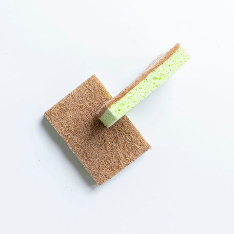 Eco Turtles 2PK Non Scratch Plant Cellulose Sponge