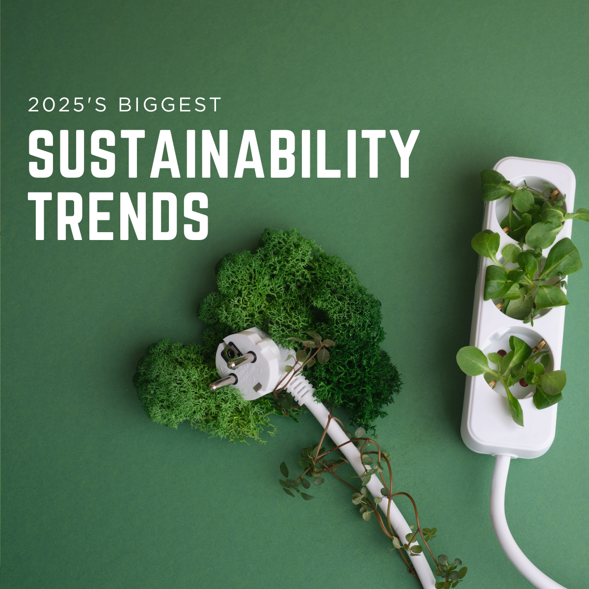 2025’s Biggest Sustainability Trends: What You Need to Know – Urban Ethos